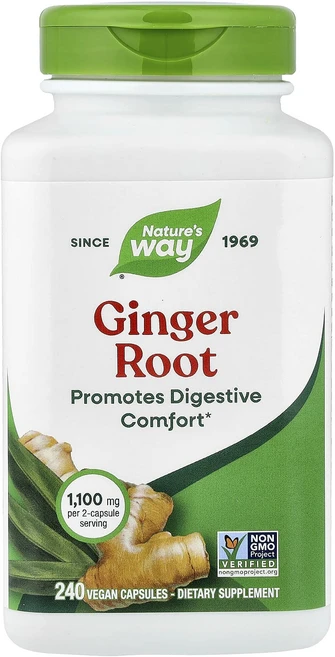 헁복하고 건강하세요 Nature's Way 생강 뿌리 비건 캡슐 240정(캡슐당 550mg) 늘 챙기셔야합니다, NaturesWay생강뿌리비건캡슐240정캡슐당550mg, 1개 - 쿠팡