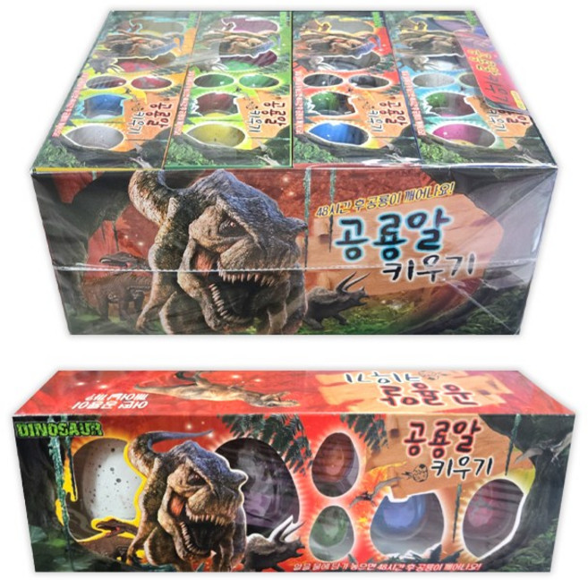 공룡알 키우기 한박스(열두개입), 1개