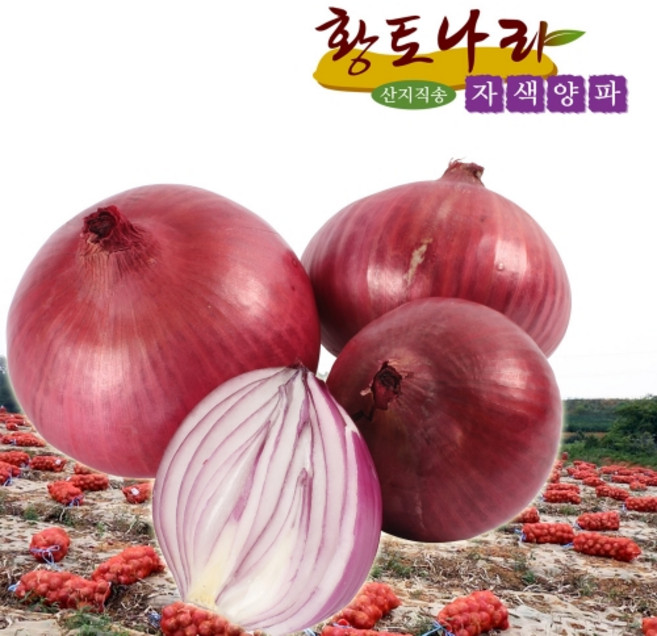 (황토나라)2026년 전남 무안 햇자색양파 단맛과 신선함이 그대로(중.대) 3kg. 5kg.(특)10kg, 1개, 10kg