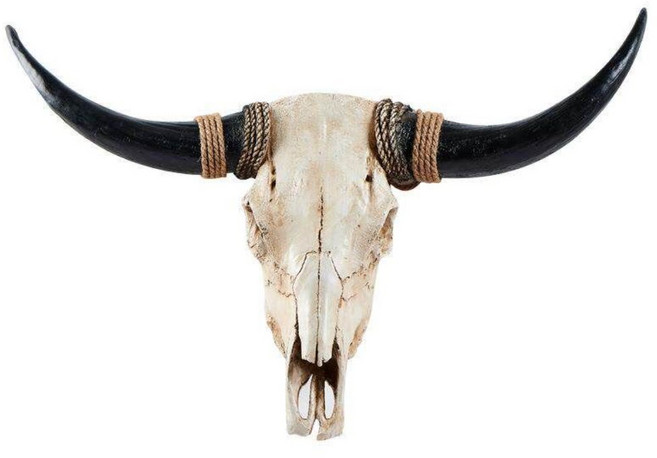 물소 뿔 소품 물소뿔 대형 레스토랑 박제 벽 전용 경락 헤어 스틱 지압, 대제외 브라운각