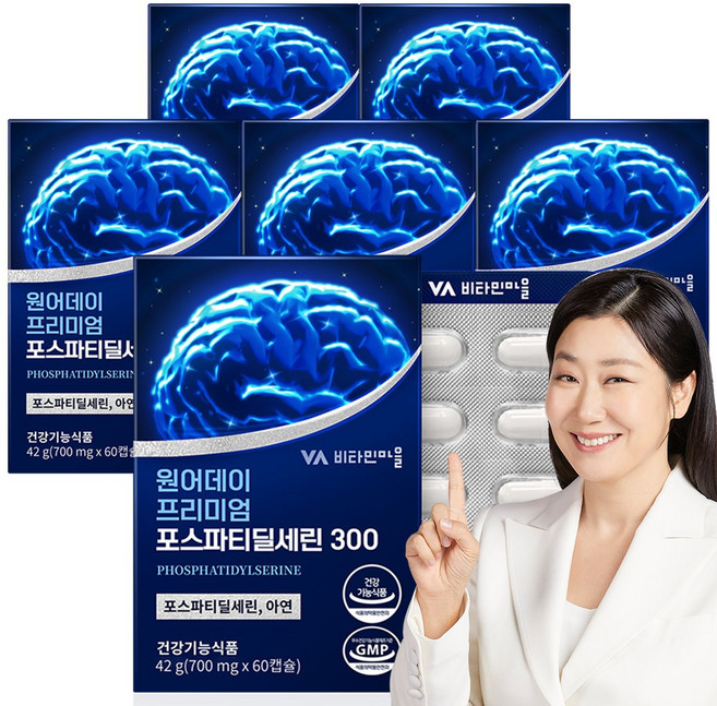 비타민마을 원어데이 프리미엄 포스파티딜세린 300 영양제 21g, 60정, 6개