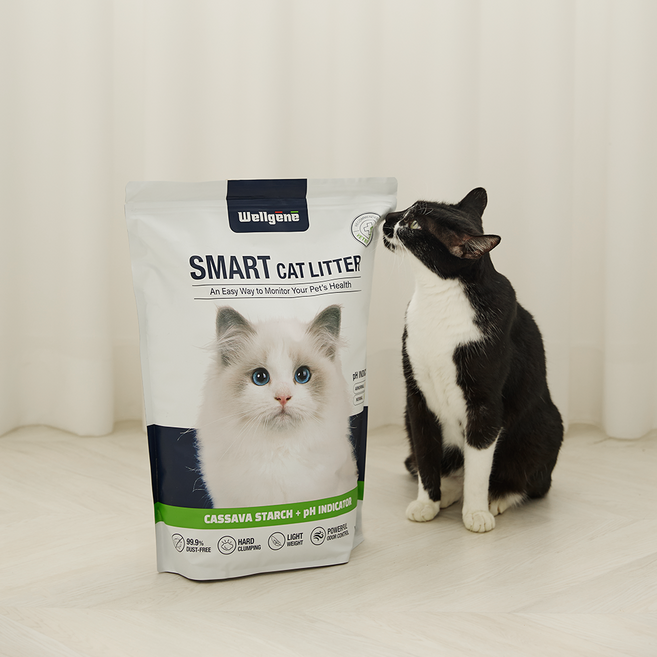 웰젠 스마트 고양이 신장 건강 카사바 pH 캣 리터 모래 3.7kg, 카사바 무향, 2개