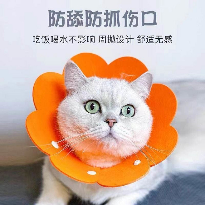 伊麗莎白脖圈 貓咪防舔咬防抓頭套 狗狗項圈 寵物軟圈, 1個, 橙色1個 太陽花,M-中型
