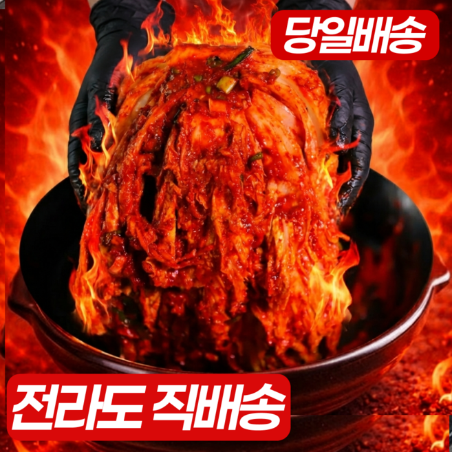 [전라도김치] 감칠맛 폭발 맛있게 매운 실비김치, 1박스, 1kg