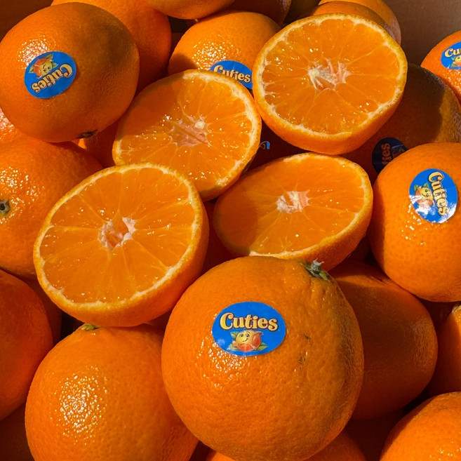 미국직수입 초고당도 고품질 만다린 감귤, 1박스, 5kg