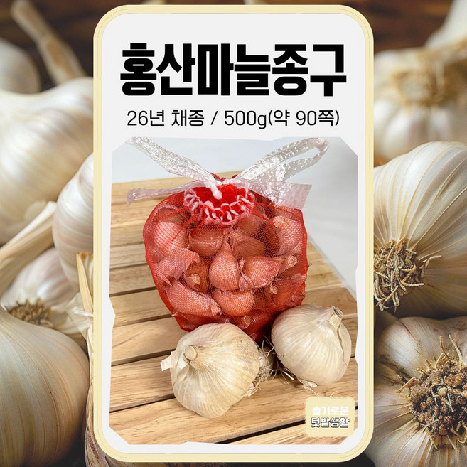 6위 - 슬기로운텃밭생활 2026년 채종 홍산마늘종구 씨앗 손질 마늘종구 모종 종자 씨 500g, 1개