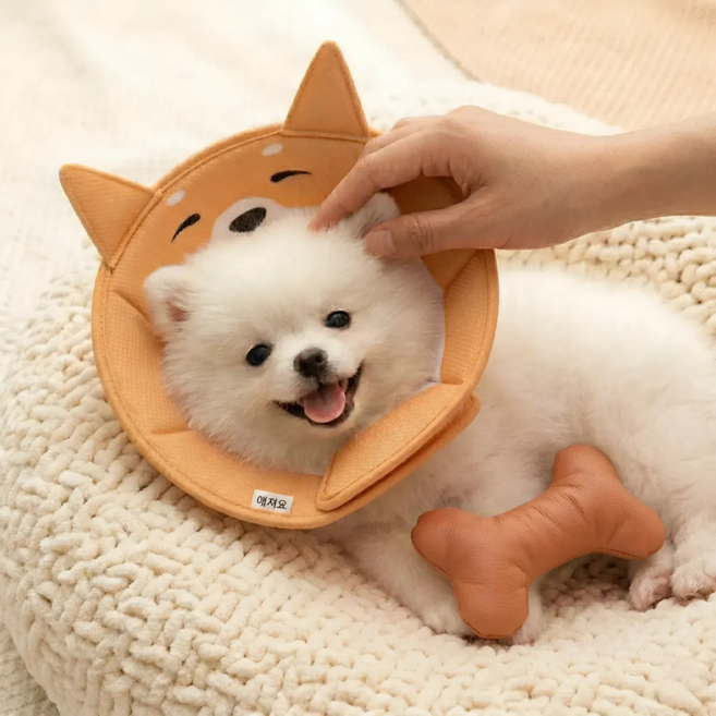 애져요 통기성 강아지 고양이 공용 넥카라 수술 회복, 1개, 강아지 디자인