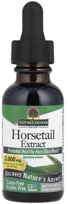 네이쳐스앤서 홀스테일 2000mg 30ml 쇠뜨기 말꼬리 쇄뜨기 쇠뜨기풀 말풀 효능, 1개, 기본 - 쿠팡