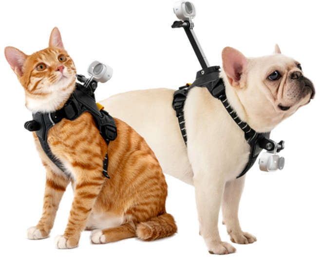 인스타360 GO 3 | GO 3S 펫 하네스 마운트, M, 1개
