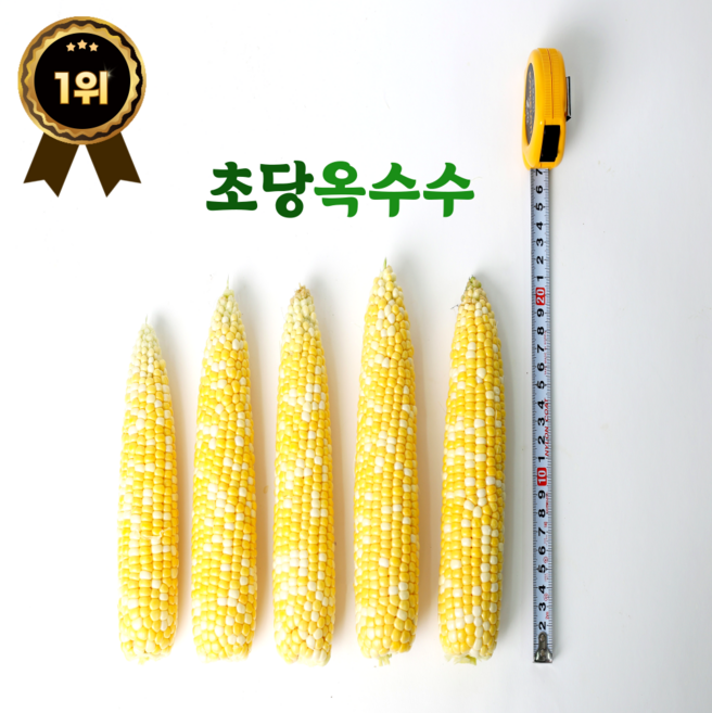이게 옥수수 맞아 ( 5~6월 ) 한정 꿀맛창고 초당옥수수 20개입( 중 ), 1박스, 초당 옥수수( 중 )15개