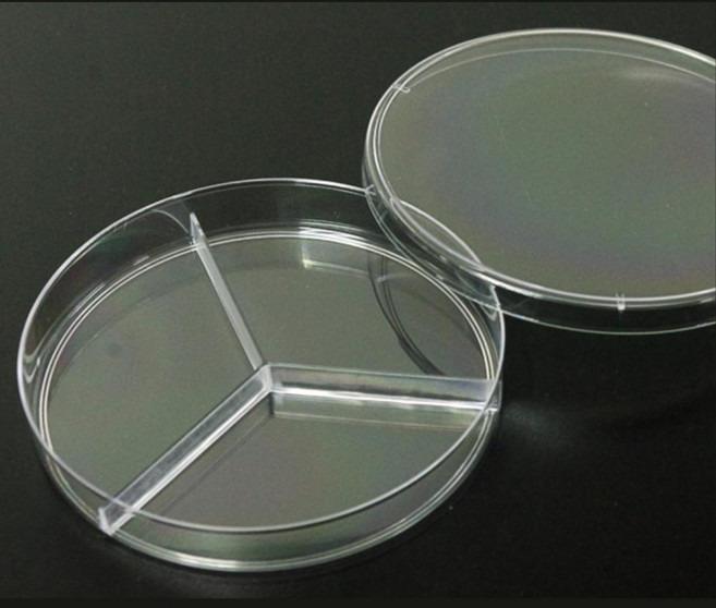 3분할 샬레 페트리디쉬 10P 배양 실험 방과후 늘봄 관찰 교구, 1개