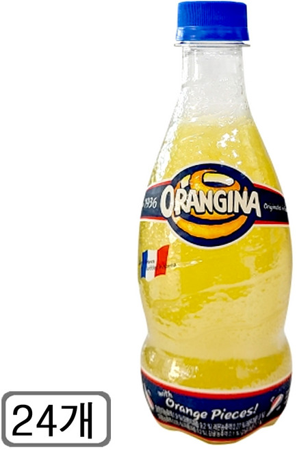 롯데칠성음료 오랑지나, 420ml, 24개