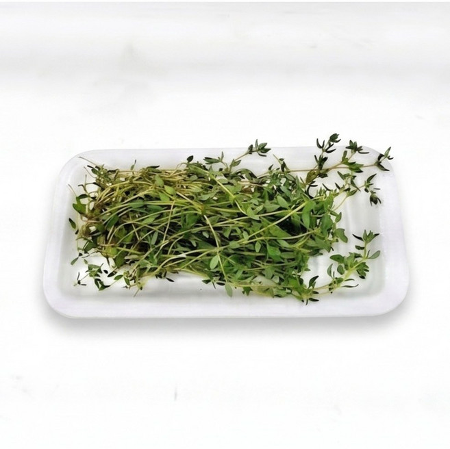 야채왕 타임 1팩(약10g) 허브 생잎, 1개