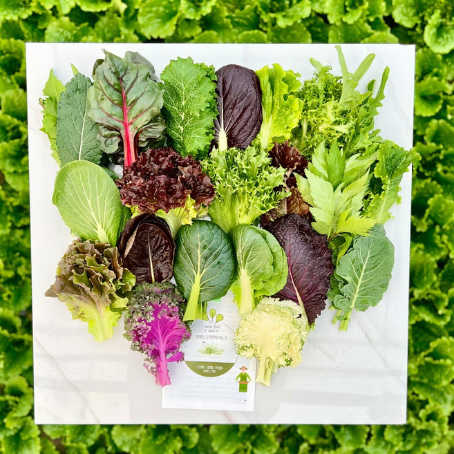 농부네 모듬 쌈채소, 1개, 1kg