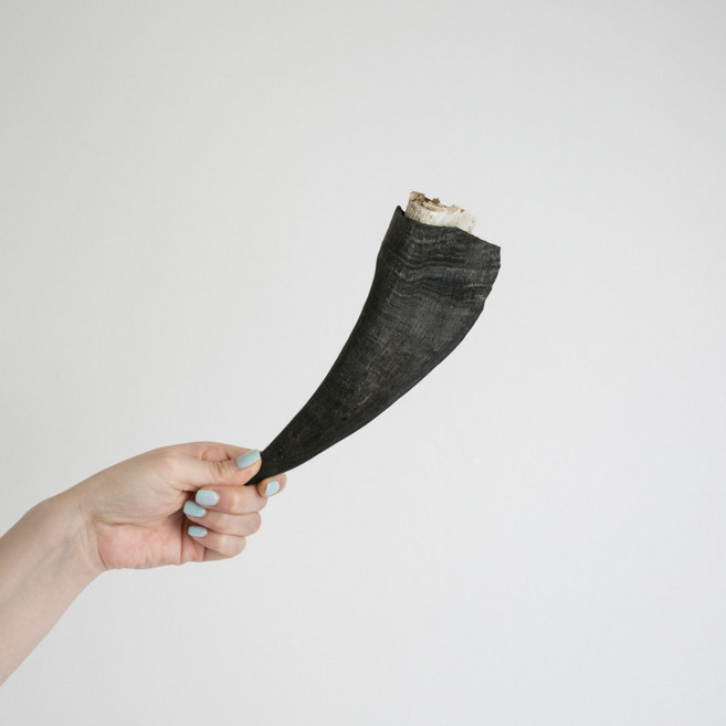 견수성찬 대형견간식 치석제거 염소뿔 외각+내각 1세트, 3개, 150g, 중형