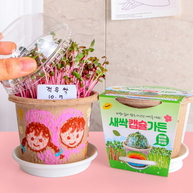 세경팜 새싹 캡슐 가든 적무순 식물 키트, 10개