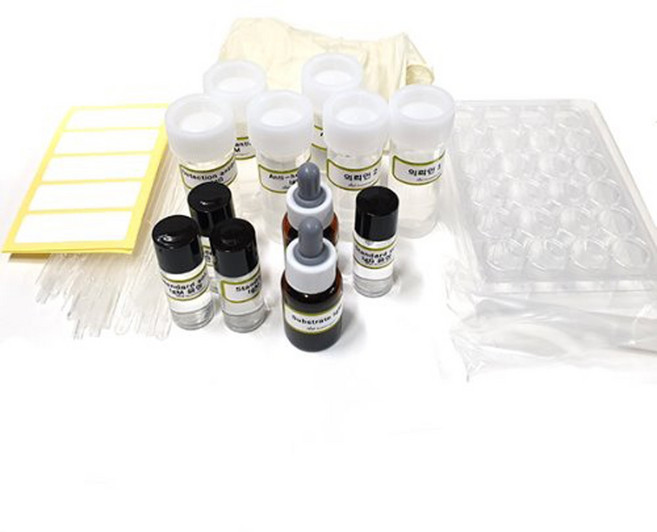 (미래과학)코로나바이러스 모의진단실험(5인 KIT)