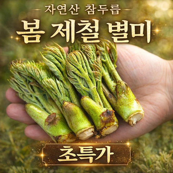 [당일수확] 국내산 자연산 참두릅 산지직송 신선 두릅, 1박스, 1kg