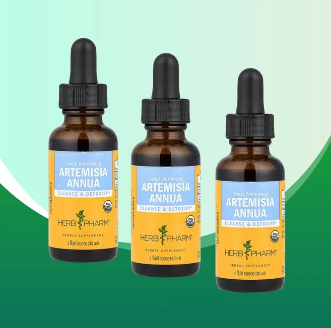허브팜 개똥쑥 추출물 sweet wormwood 30ml 3개 - 쿠팡