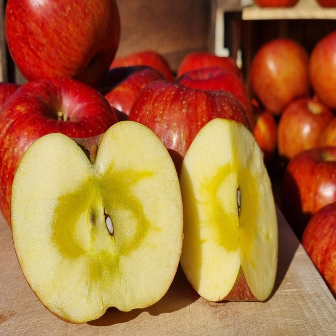 고랭지장터 홍로사과 꼬마과 1박스, 2kg(11-12과)