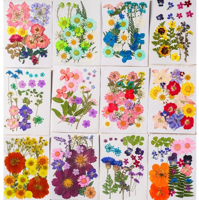 압화 꽃 F형 세트 공예 재료 레진 아트 꽃압화 드라이 플라워 장식 보존화 만들기, 옵션명 01~06까지 전부 1세트씩/모든압화세트포함