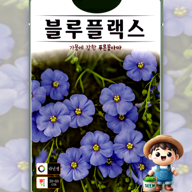 KS종묘 블루플랙스 40립 가움에 강한 푸른꽃아마 다년생 허브 꽃씨 씨앗 종자, 1개