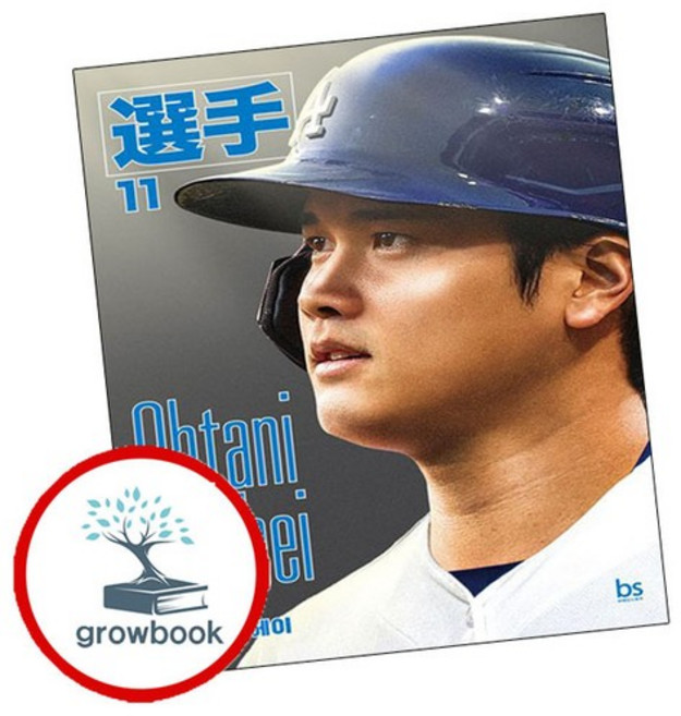 오타니 쇼헤이 오타니쇼헤이 추천도서, 없음