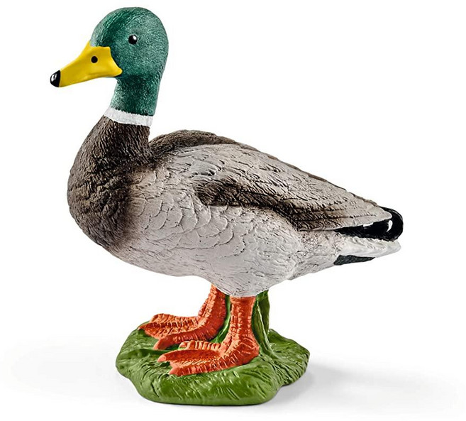 SCHLEICH Farm World 동물 피규어 만 3-8세 남아 및 여아용 농장 장난감 양, Drake