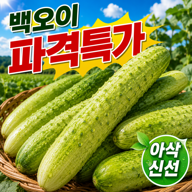 [한정수량] 아삭아삭 수분팡팡 국내산 백오이 백다다기, 1개, 5kg