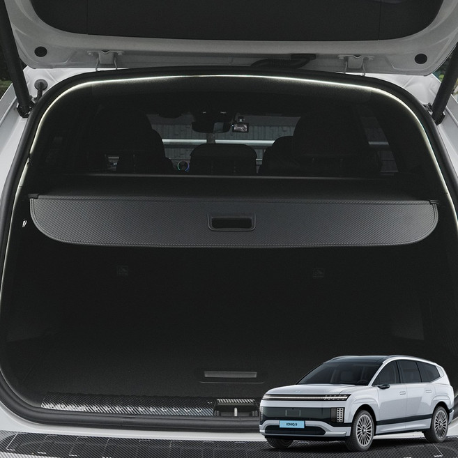 윙가디움 차량용 러기지 스크린 튜닝 악세사리 용품 카본 스타일