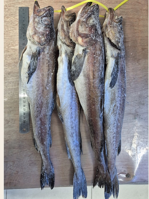 깔끔손질 반건조 코다리 4미 (대)