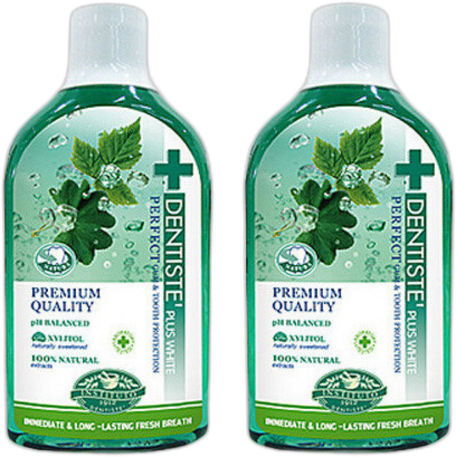 e세상 덴티스테가글 덴티스테 오랄린스, 700ml, 2개