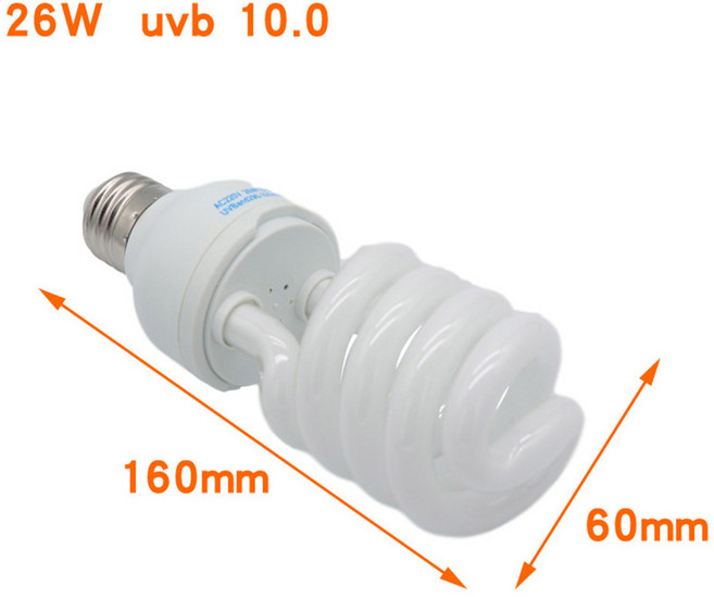 램프 도마뱀 거북이용 에너지 다육 보충제 절약형 파충류 UVB 5 10 칼슘 0 조명 자외선, 1개