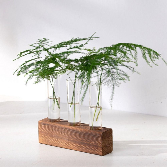 試管花瓶 木製支架 水培植物容器, 3 測試, 透明