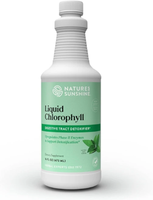NATURE'S SUNSHINE 네이처선샤인 액상 엽록소 디톡스 클렌즈 민트맛 473ml, 성인남녀공용, 1개 - 쿠팡