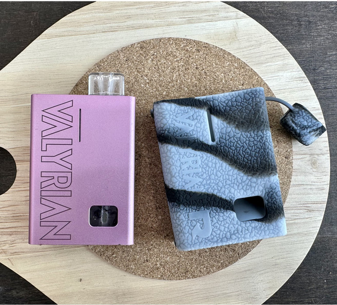 레더크레프트 유웰 발라리안R 전용 실리콘케이스 위생캡덮개 포함, 1개, 블랙화이트