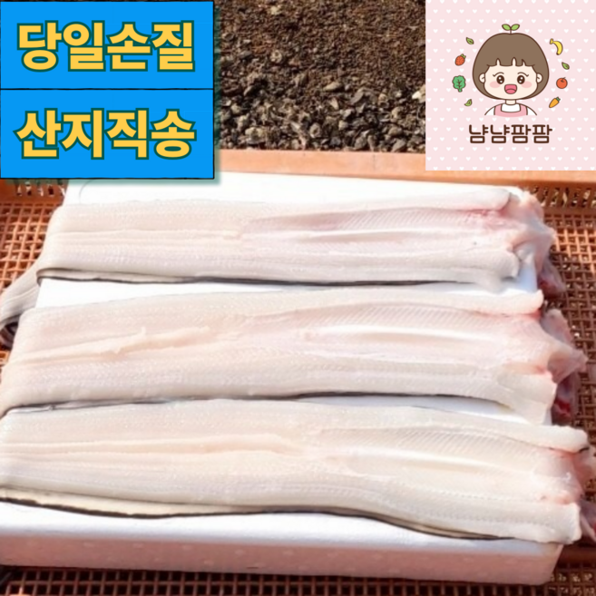 [산지직송]냠냠팜팜 힘이불끈 손질 바다장어, 1박스, 10kg