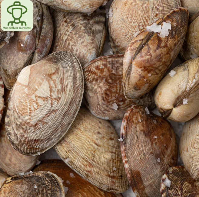 [GMD]당일조업 국산 손질 바지락살 왕바지락살 생물 바지락 조개살 깐비지락살, 1개, 왕바지락 1kg