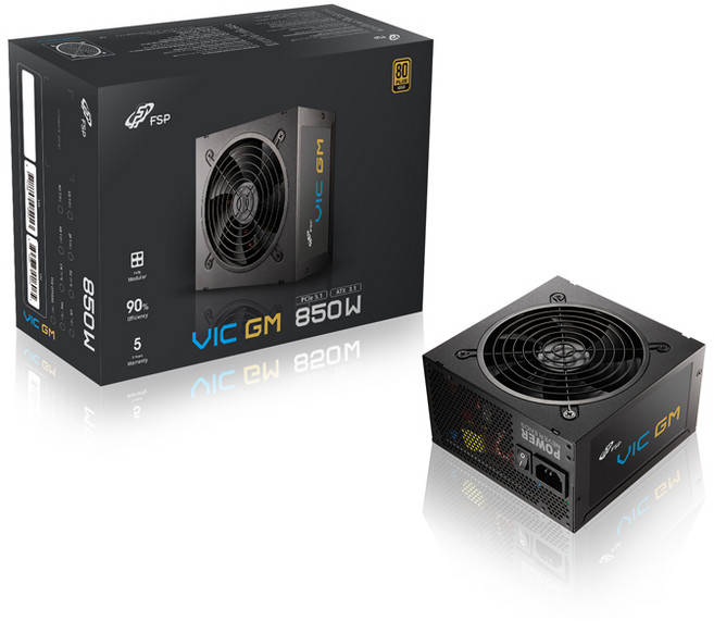 FSP VIC GM 80PLUS 골드 풀모듈러 ATX3.1 파워서플라이 PC 컴퓨터 파워, 850W