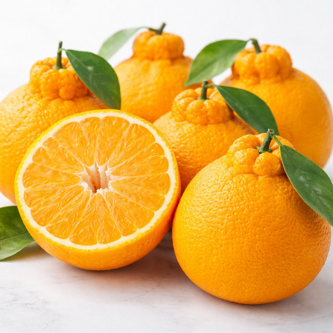 [특가행사] 우수농가 고당도 제주 한라봉, 1개, 10kg 혼합과 (강력추천)