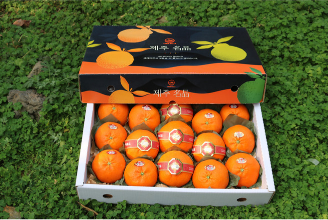 [백화점납품] 산지직송 고당도 프리미엄정품 레드향 선물세트 어르신 부모님선물용, 1세트, 싱싱팜 레드향선물세트 2.5KG