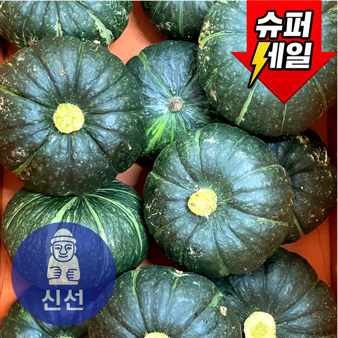 [제주신선상회] 미니 밤호박 보우짱 산지직송, 1개, 신선 10kg