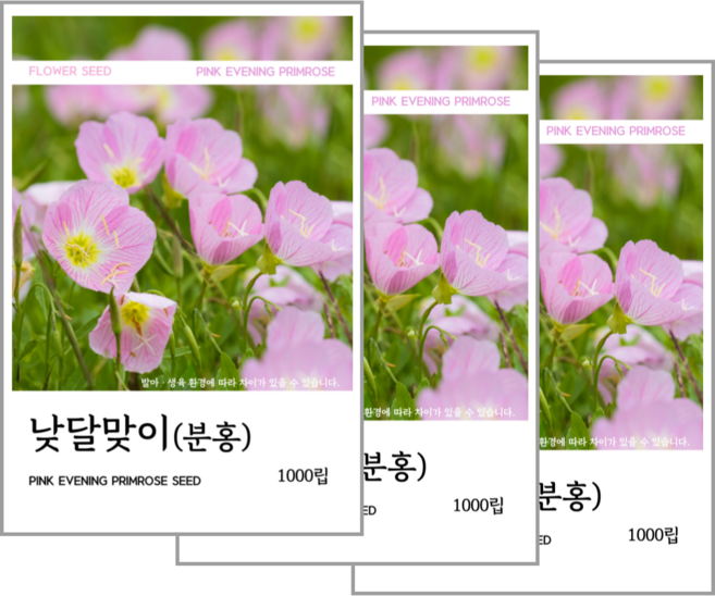 낮달맞이(분홍) 씨앗 1000립, 3개