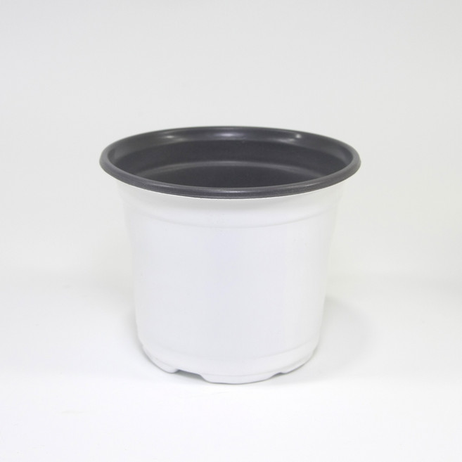 플라스틱 연질 분갈이 모종 이색포트 소형화분, 흰색, 1개