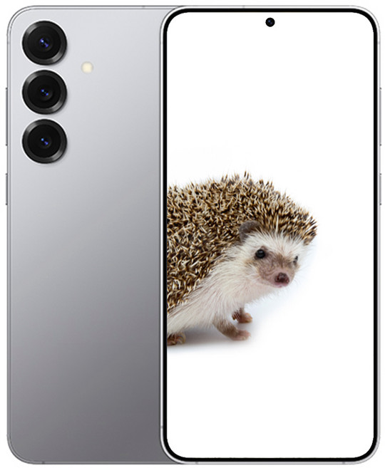 삼성전자 갤럭시 S 25 새상품 미개봉, 256GB, 실버 색상 선택하기