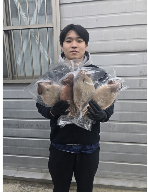 정만농수산 30년 오징어 외길인생 명인 포항 정품 반건조오징어, 2개, 5마리 600g