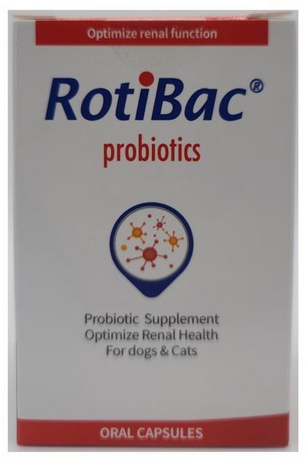 로티백 90C (한냉매포장) (아조딜) 반려동물 보조제 신장 영양제, 1개, 90정