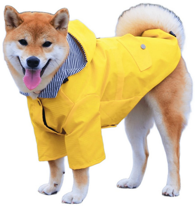 Nick Rich 狗狗雨衣 雙層設計 防水防風, 黃色, 1個