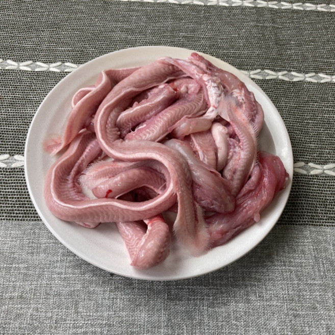 [한정특가] 국내산 생물 손질 꼼장어 당일생산, 1개, 생물 꼼장어 1kg (10-15미)