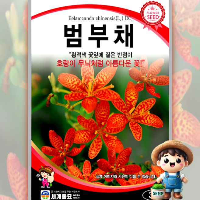 남흥원예사 범부채 3g 원예 관상 조경 화단 용 꽃 씨 씨앗 종자 세계종묘